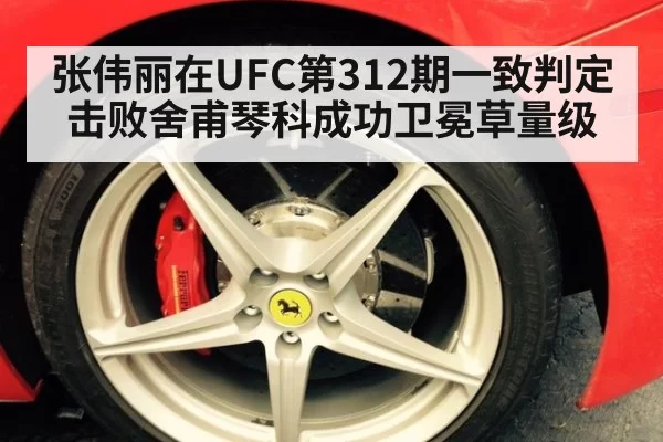 张伟丽在UFC第312期一致判定击败舍甫琴科成功卫冕草量级